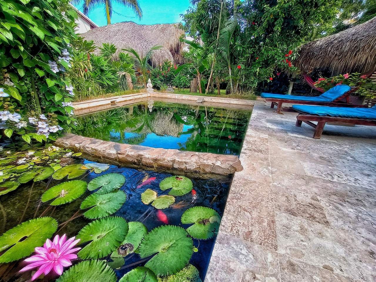 Casa Picaflor: quiet garden with a pond and a thatched building